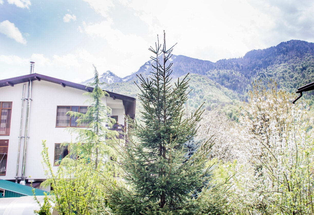 Гостиница Green House Красная Поляна-61