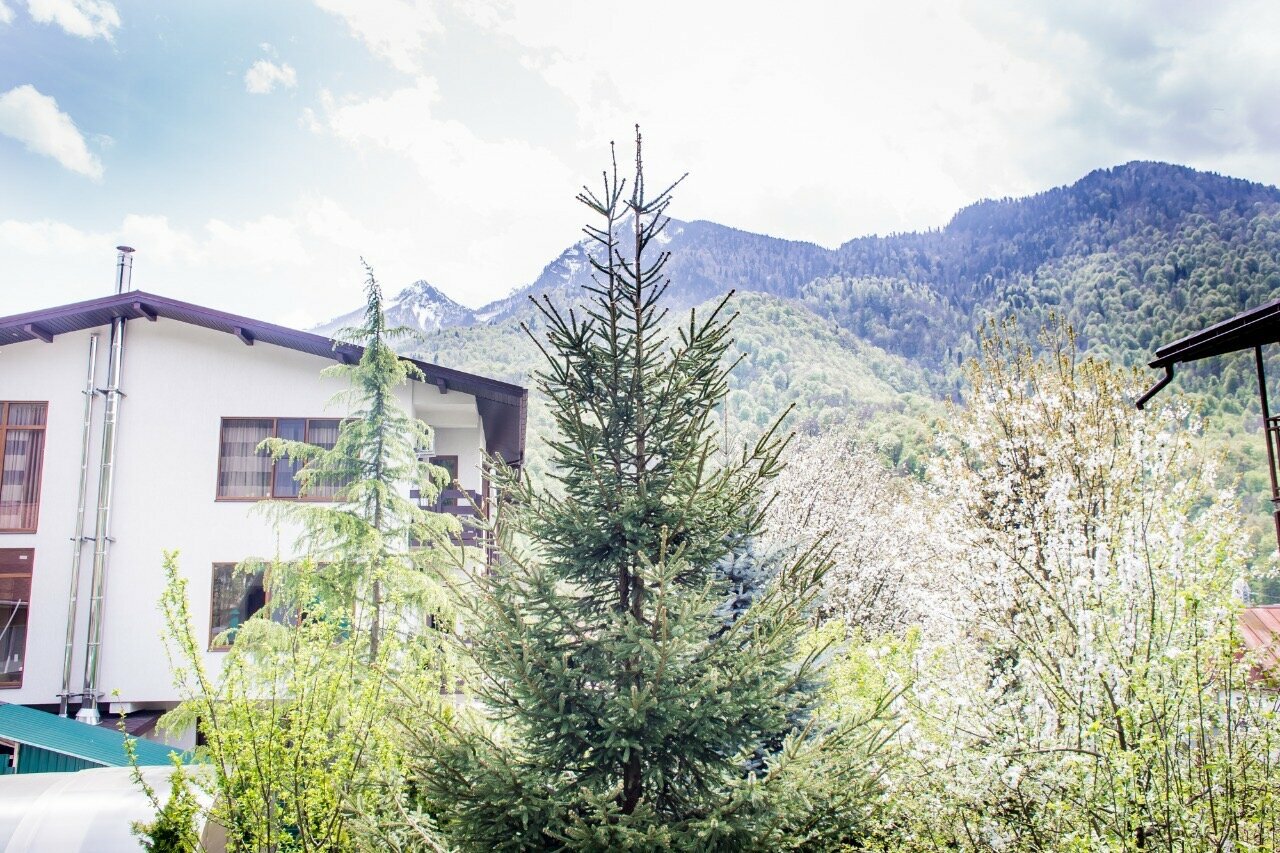 Гостиница Green House Красная Поляна