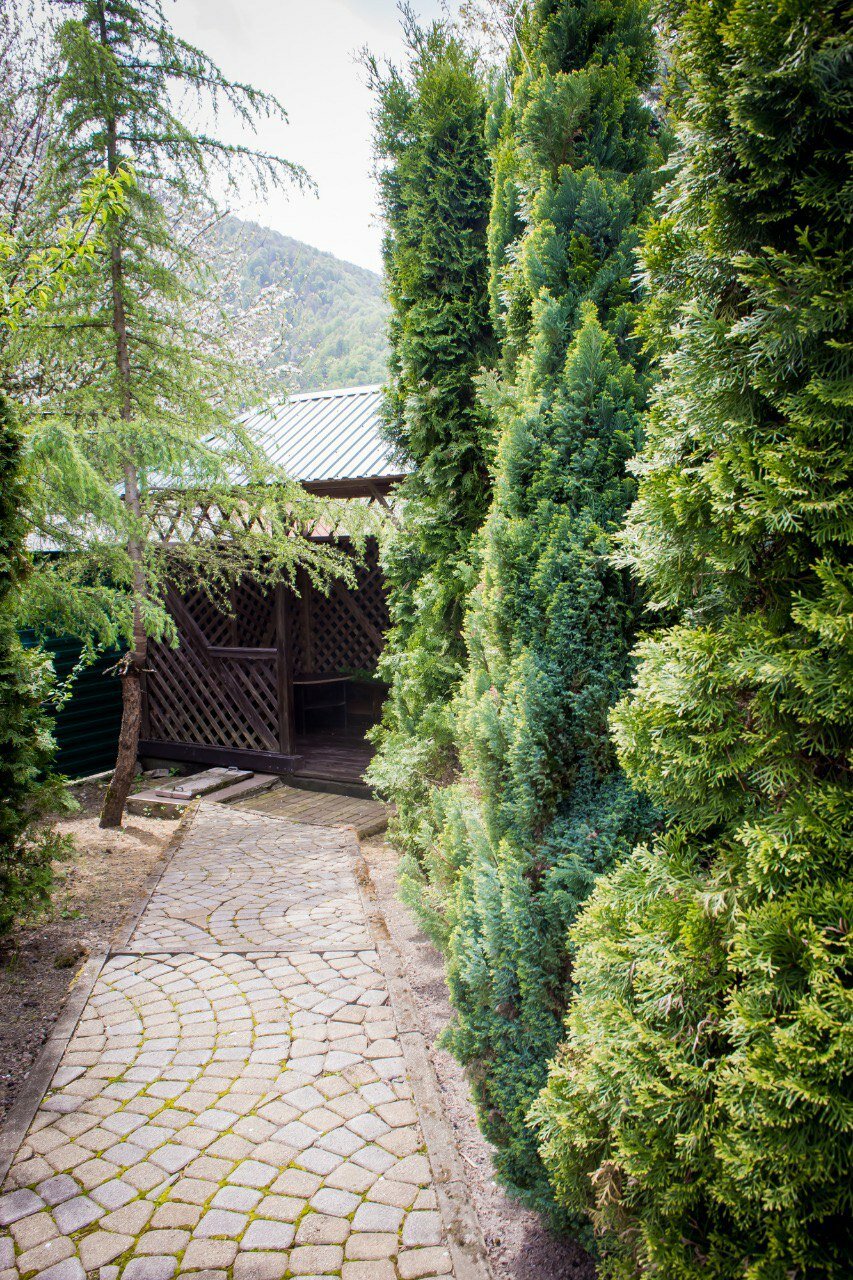 Гостиница Green House Красная Поляна-43