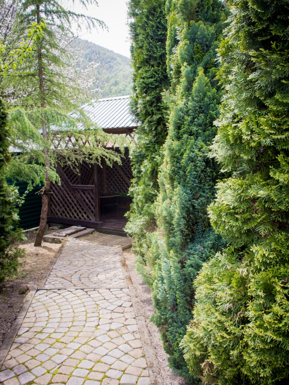 Гостиница Green House Красная Поляна-73