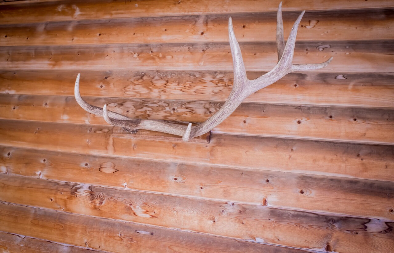 Гостиница Green House Красная Поляна-62